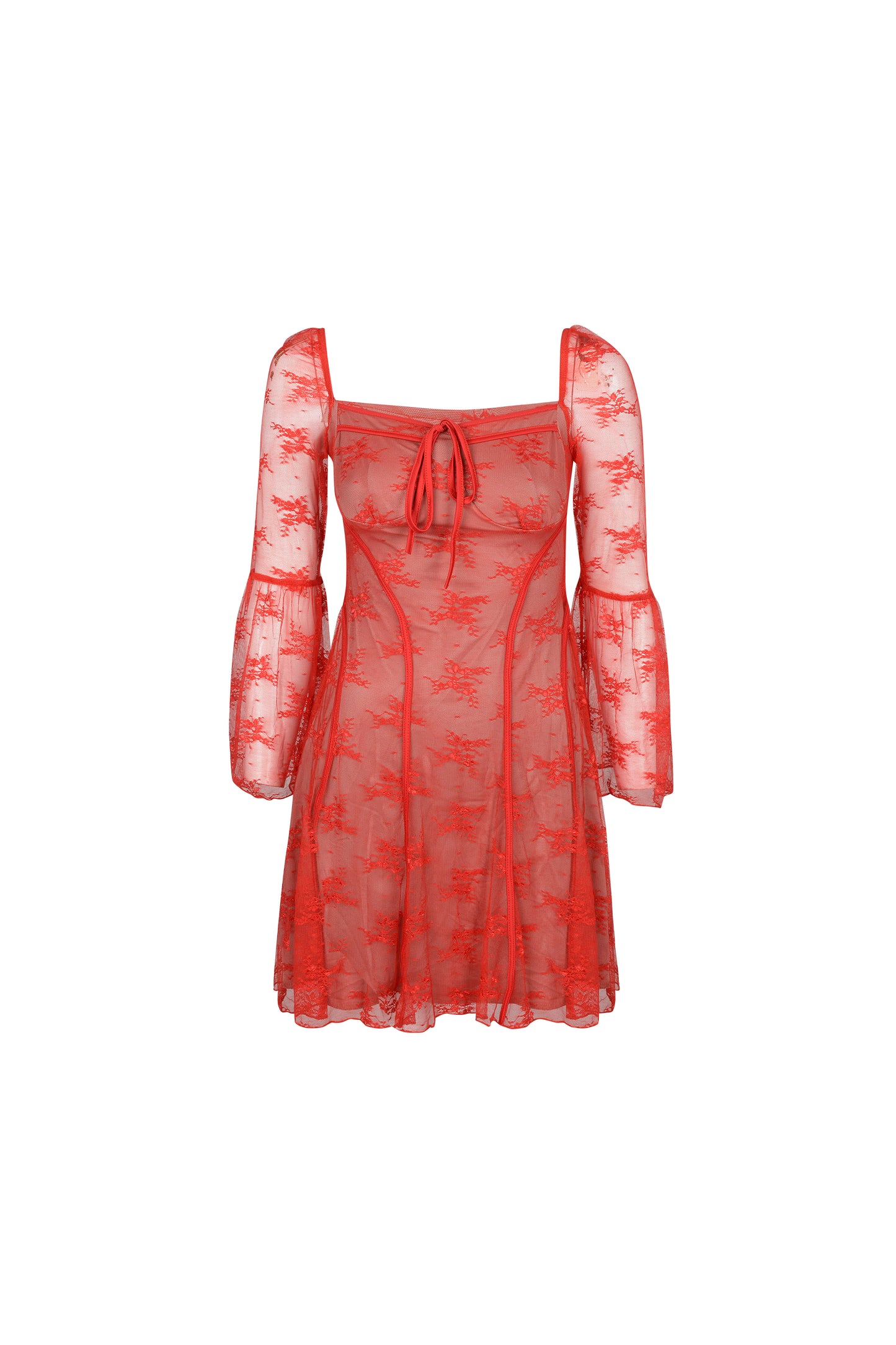 Pisces Lace Mini Dress